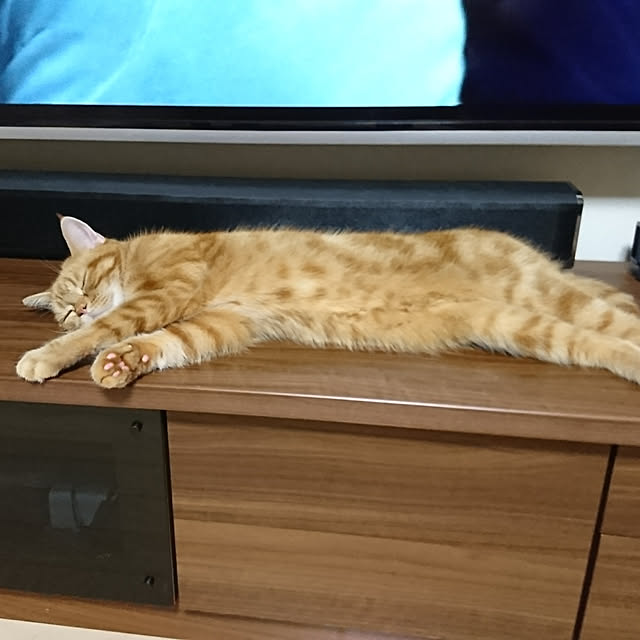 nekomajinさんの実例写真