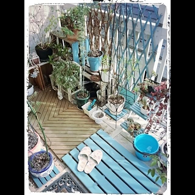 naokirisimaさんの実例写真