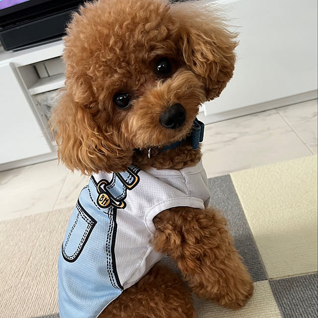 makiさんの実例写真