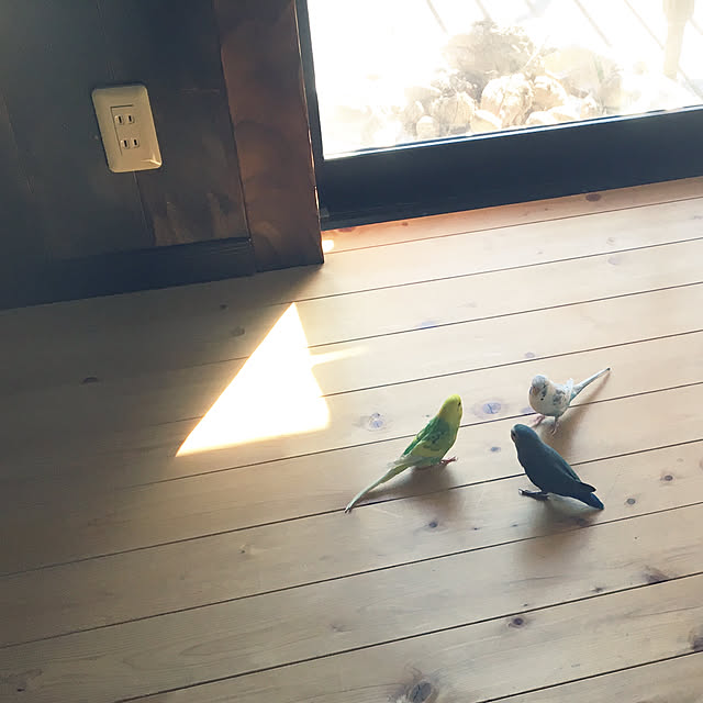 yuki.ni_tsuさんの実例写真