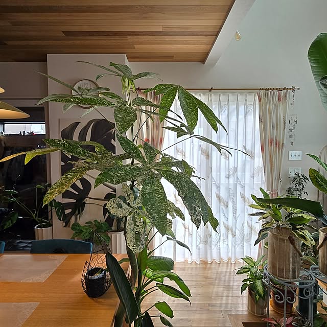 nonbiri_house_さんの部屋