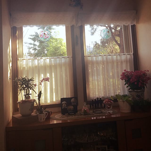 mocoさんの実例写真