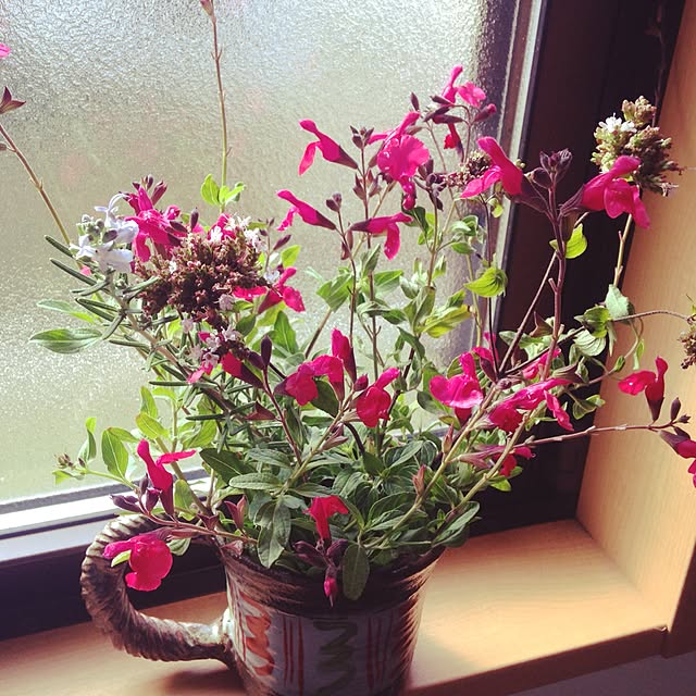 kanadeさんの実例写真