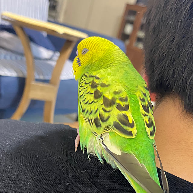 ohanaさんの部屋