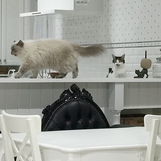yuchiさんの実例写真