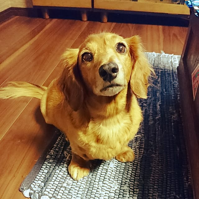 cocosorasakuさんの実例写真