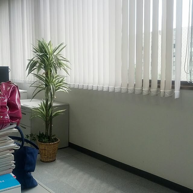 Sakuraさんの実例写真