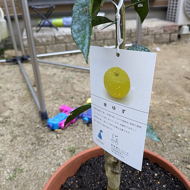 dadaさんの実例写真
