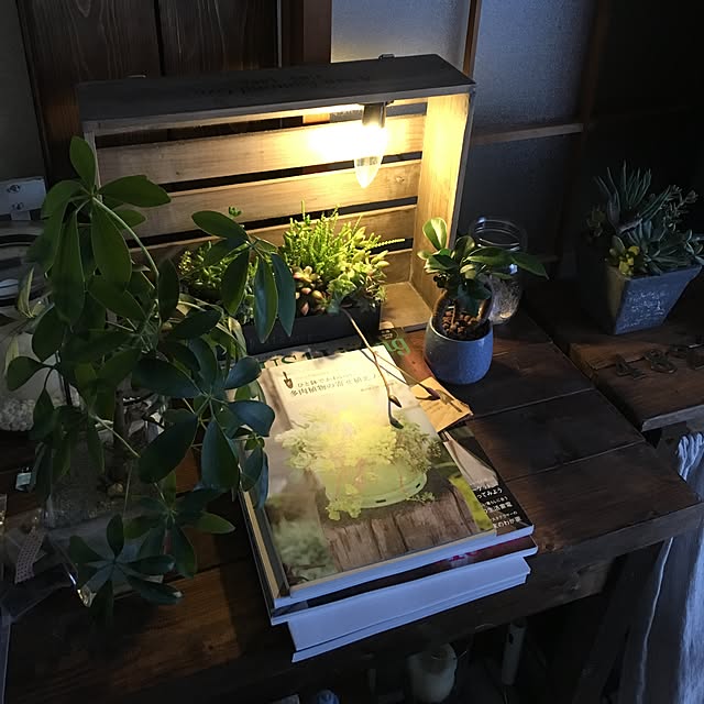 kuromameさんの実例写真