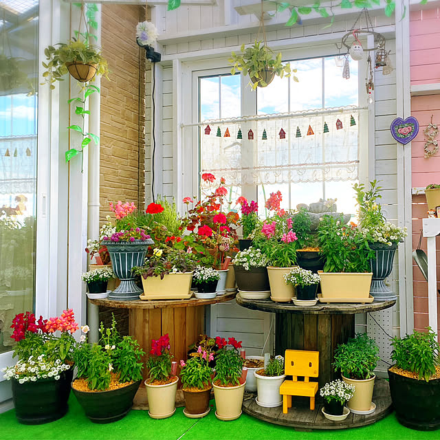HappyRoseさんの部屋