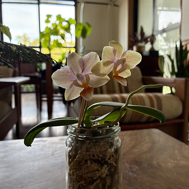 tomoさんの実例写真