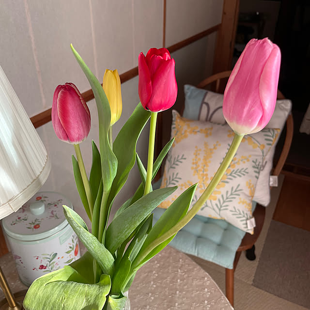 kyukoさんの部屋