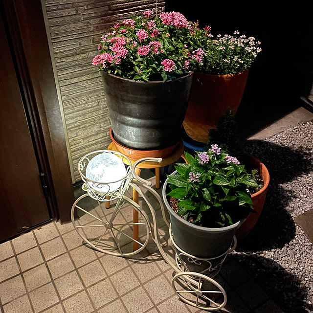 ronronさんの部屋
