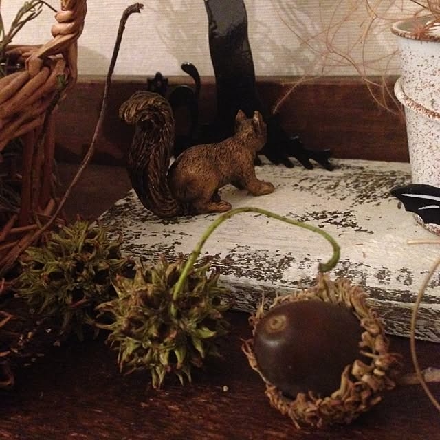 Nanaさんの実例写真