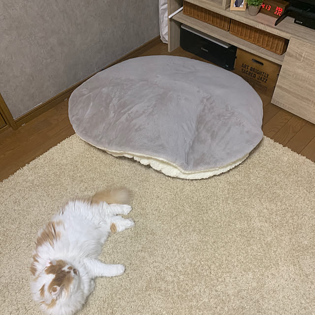 keiさんの実例写真