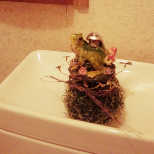 terajunさんの実例写真