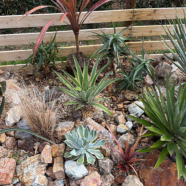 bonber0212さんの実例写真