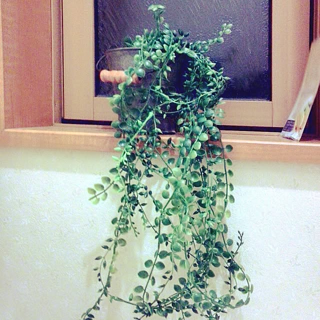 ebimasaさんの実例写真