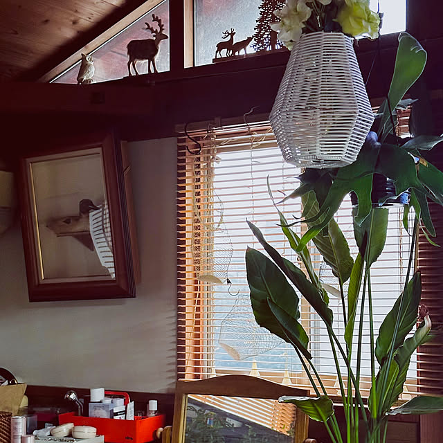 chacoさんの部屋