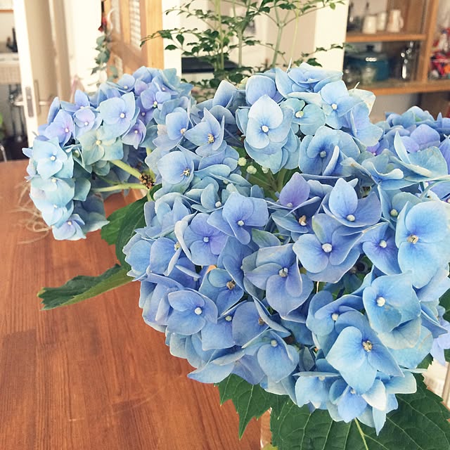 ramune7716さんの実例写真