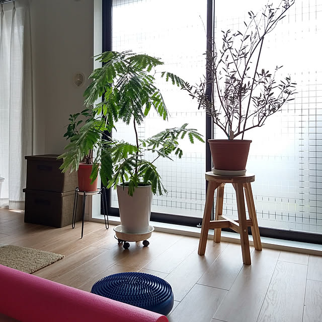 kiyokiyo887さんの実例写真