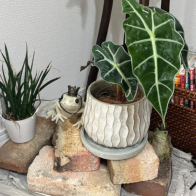 yoko2m.comさんの実例写真