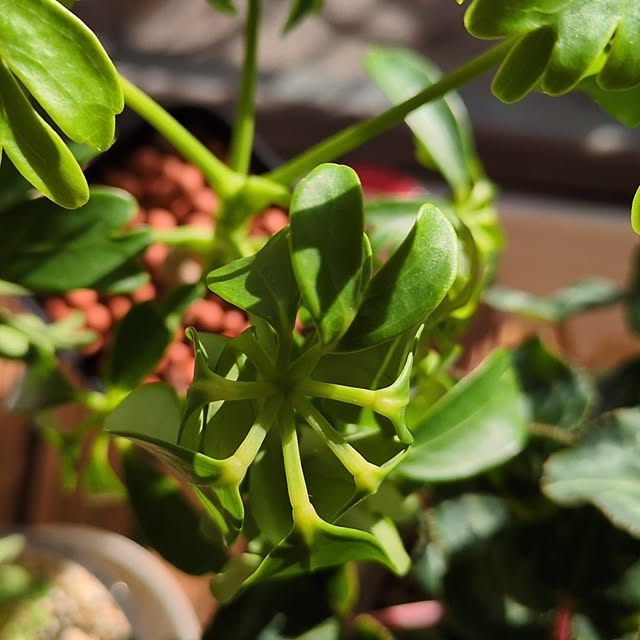 mi-saさんの部屋