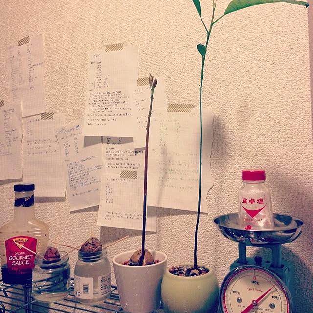 実例写真