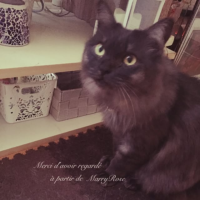 maria.rさんの実例写真