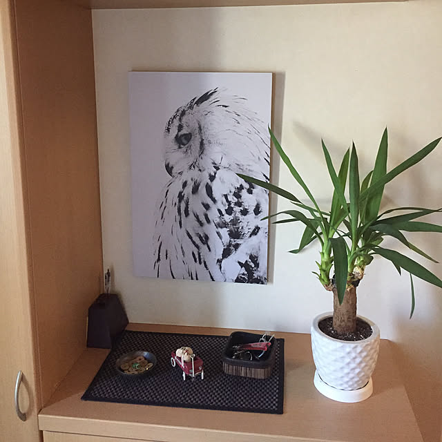 kaiwaさんの実例写真