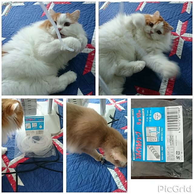 1ldksさんの実例写真