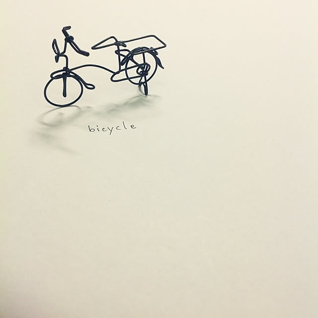 sinさんの実例写真