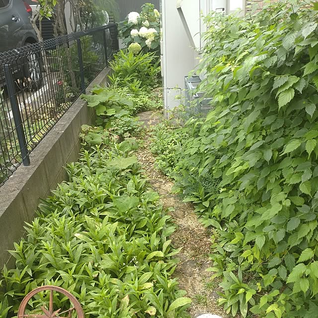 Hujikoさんの実例写真