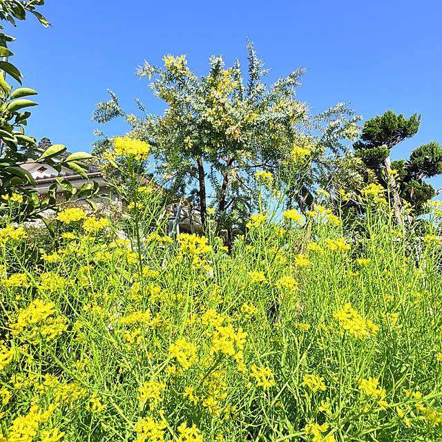 mayumiさんの部屋