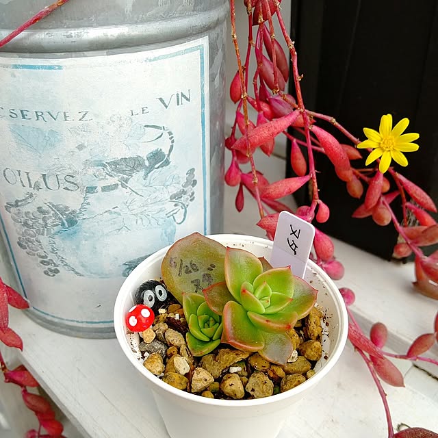 meiさんの実例写真