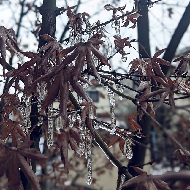 reeさんの実例写真