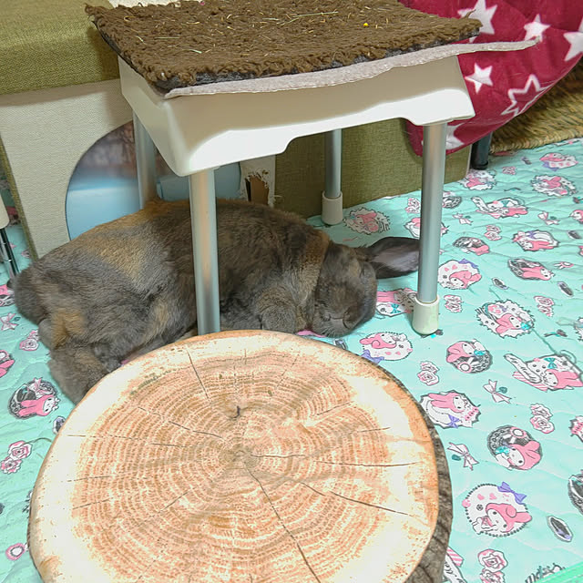 mariaさんの実例写真