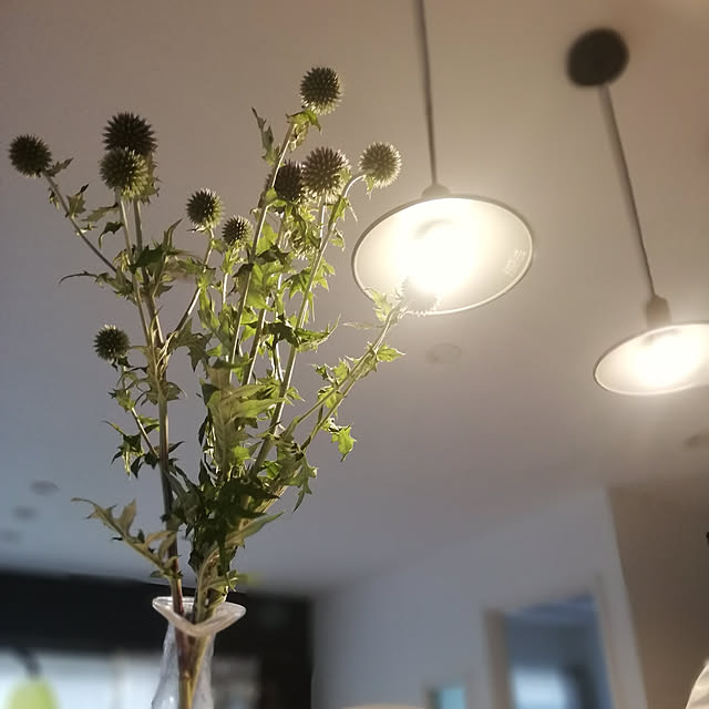 fumitanさんの実例写真