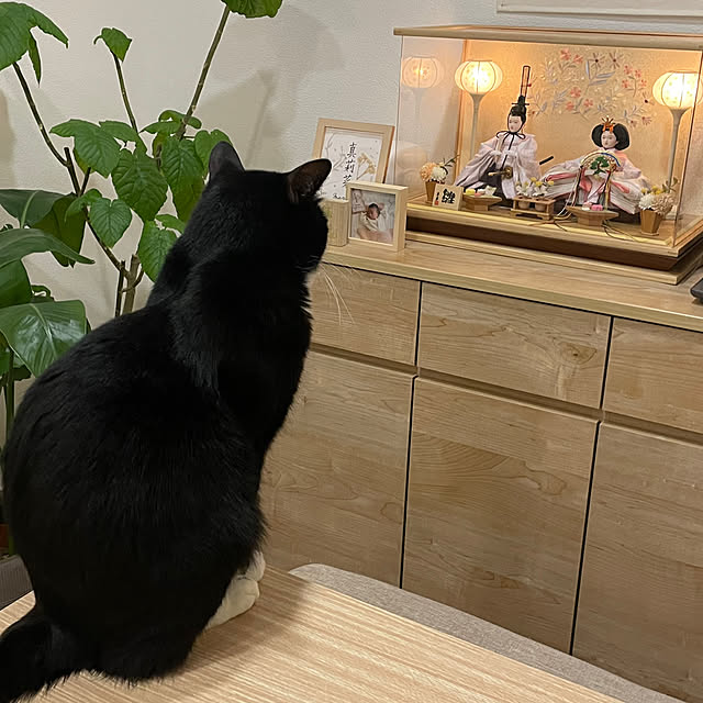 hirokoさんの実例写真