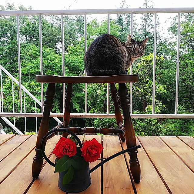 weさんの実例写真