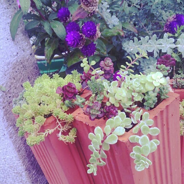 akr29さんの実例写真