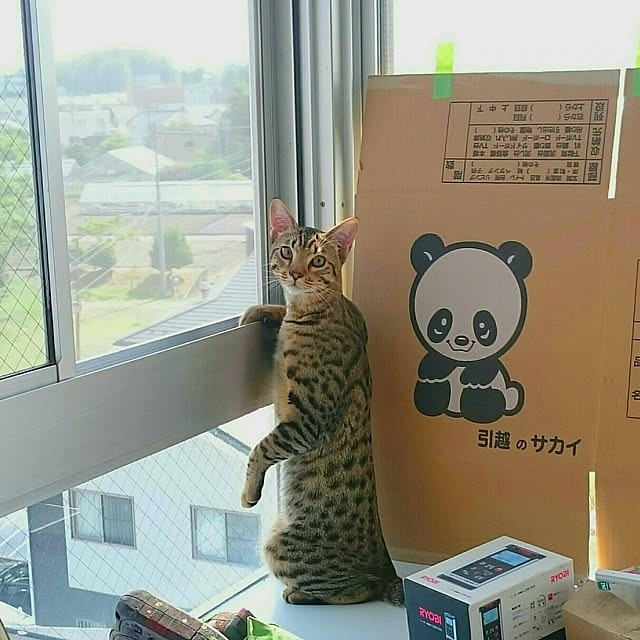 ken.kawakamiさんの実例写真