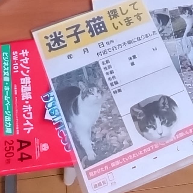 NOAHさんの部屋