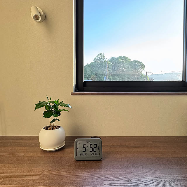 Minaさんの部屋
