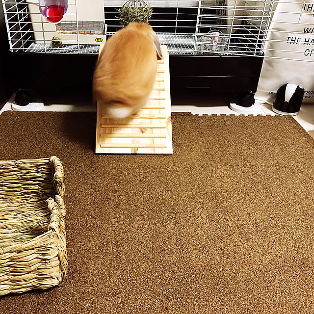 guiltyさんの実例写真