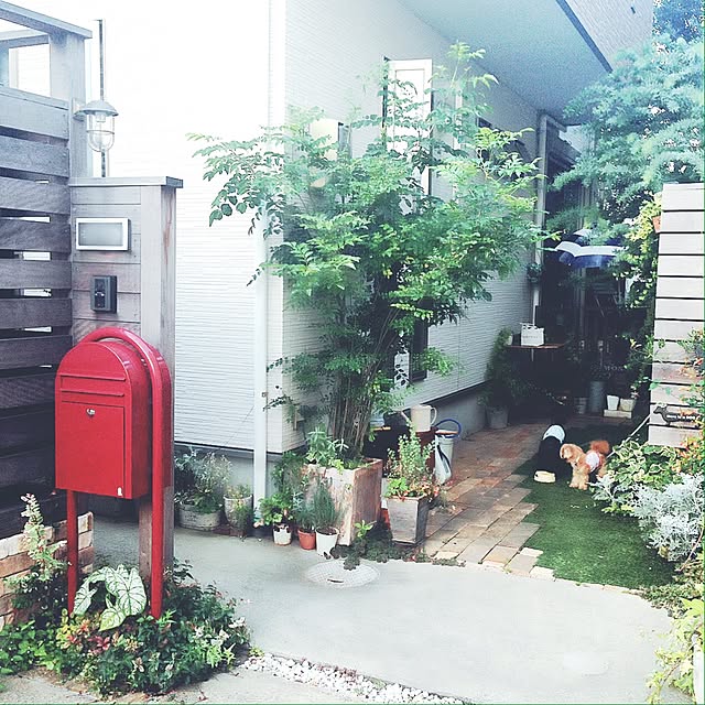 risaさんの実例写真