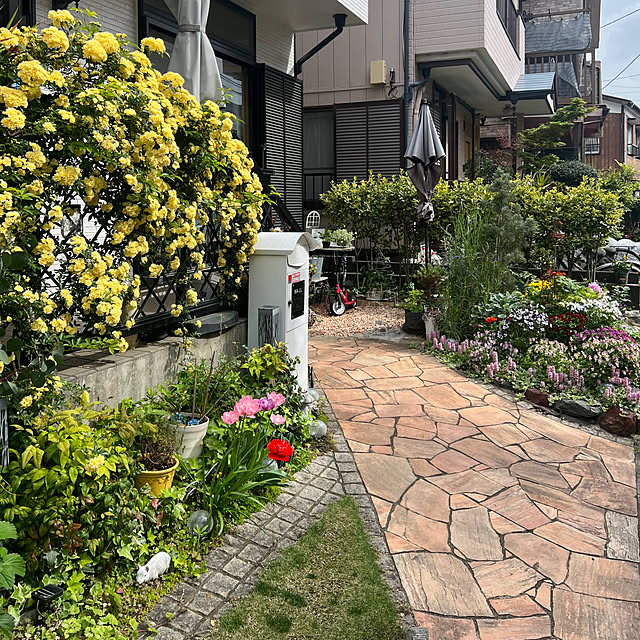 kurumeruさんの実例写真