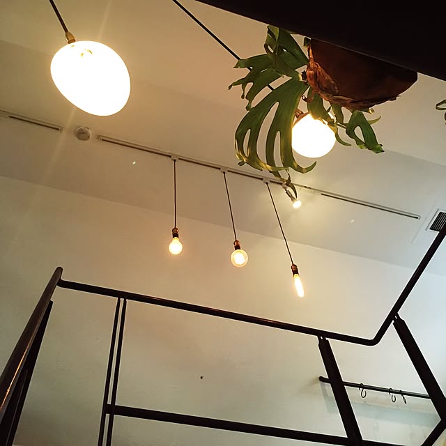 壁/天井のインテリア実例 - 2017-01-13 15:24:29