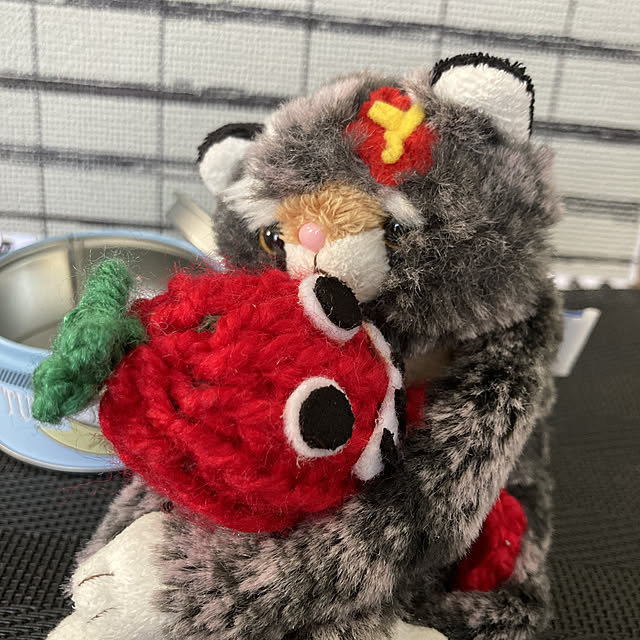 manduonmaさんの実例写真