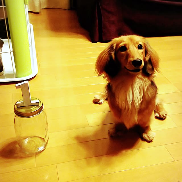 cocoさんの実例写真